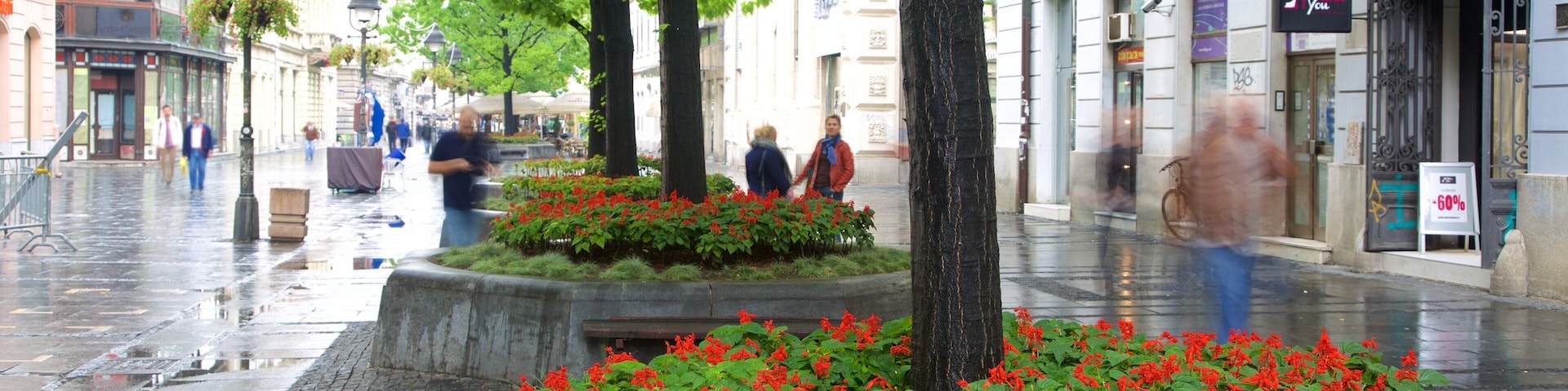 Knez Mihailova Street featuring a city and street scenes