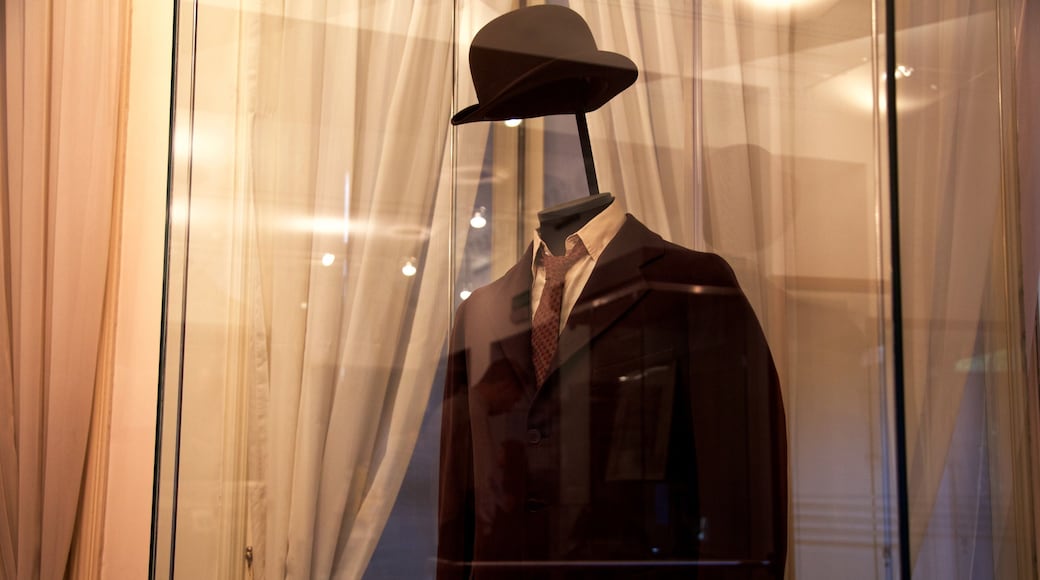 Nikola Tesla Museum qui includes art