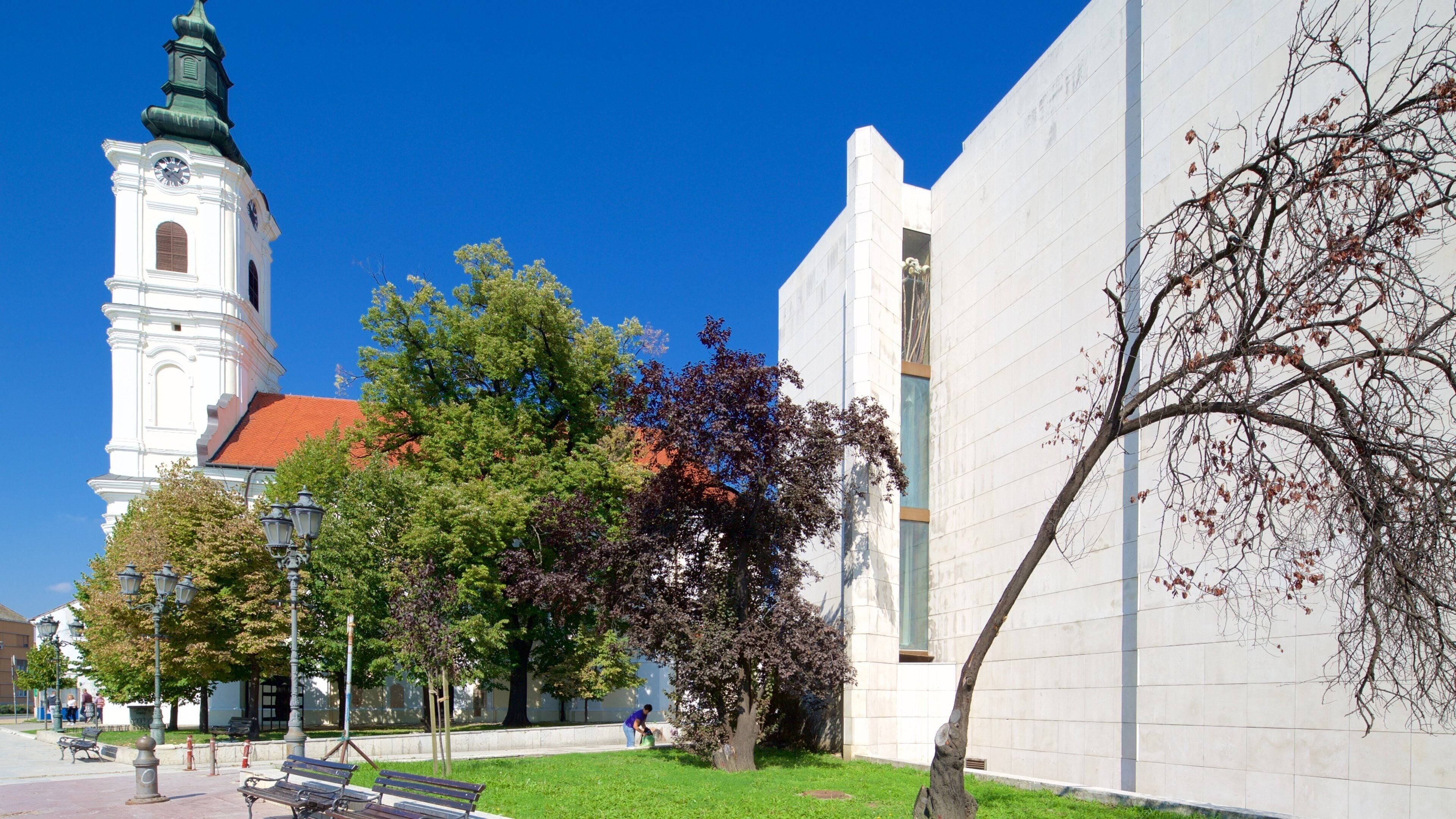 National Theatre of Serbia mettant en vedette patrimoine architectural, ville et église ou cathédrale