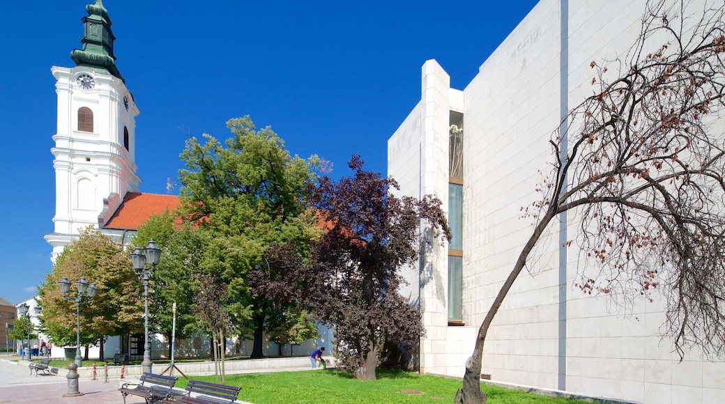 National Theatre of Serbia mettant en vedette patrimoine architectural, ville et église ou cathédrale