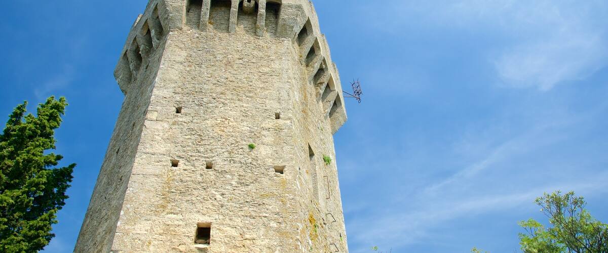 Torre Montale mostrando oggetti d\'epoca e castello o palazzo