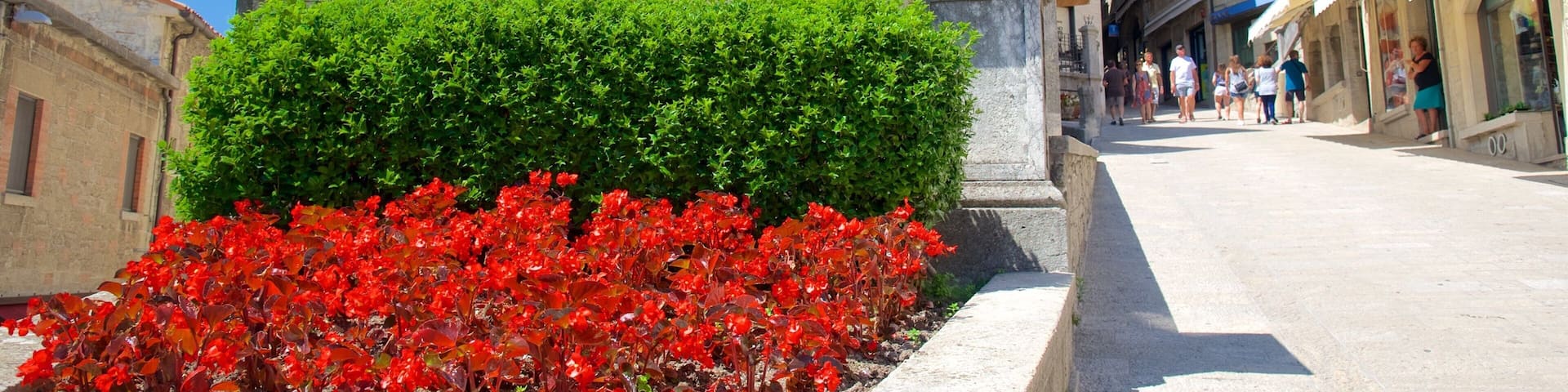 Piazza Garibaldi featuring flowers, heritage elements and a monument