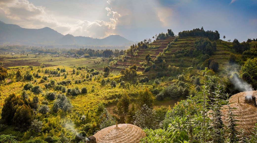 Rwanda volcanoes national park