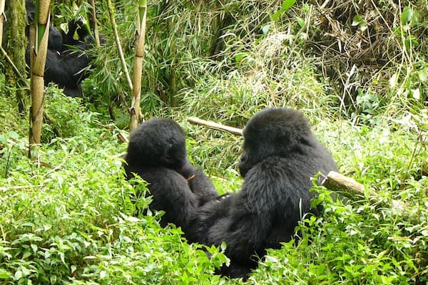 0_260d3361-ab0e-44c3-9f23-10d28f79db59_raw