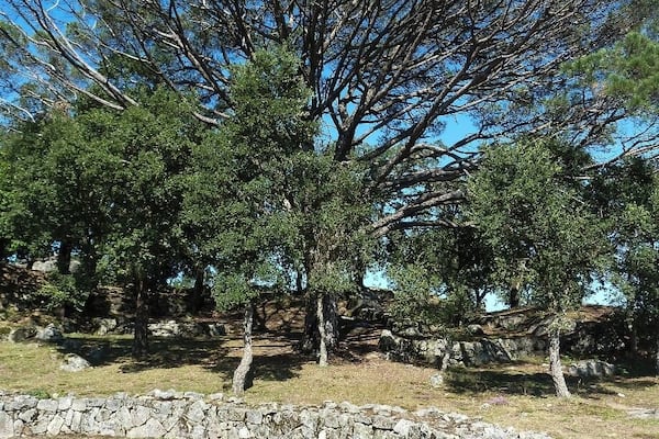 Citânia de Briteiros, a large compound of archaeological ruins of an important proto-historic settlement, which was first inhabited more than 2000 years ago, in the Iron Age.
You can read more of the history here: http://imoutoftheoffice.com/citania-de-briteiros-the-proto-historic-settlement/