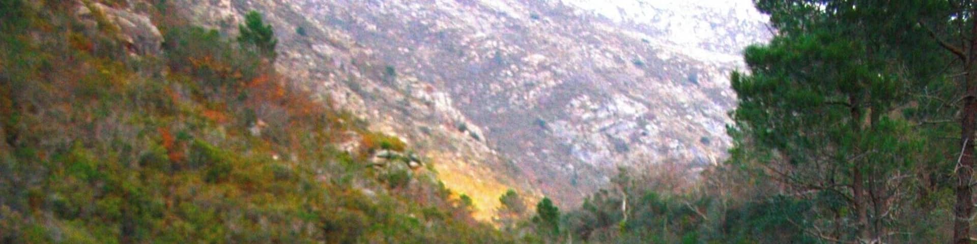 A river flowing through a rocky gorge surrounded by dense forest.