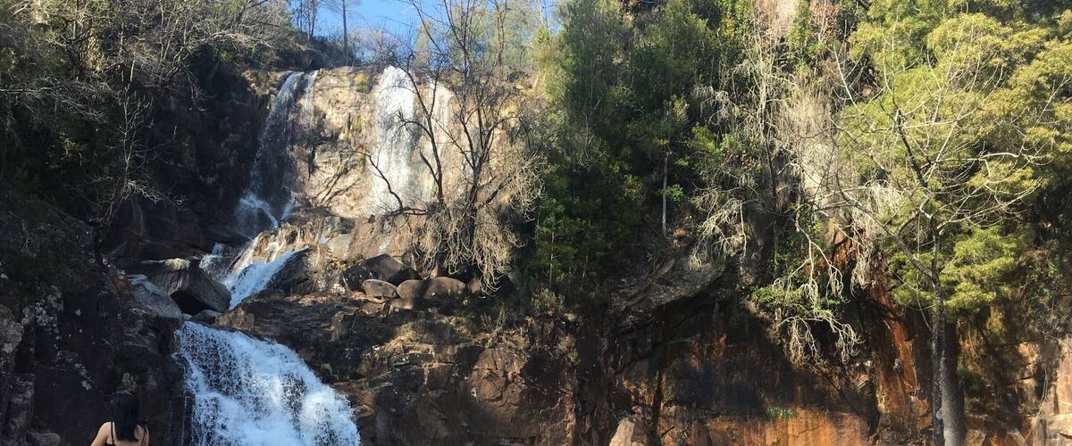 A waterfall cascading over rocks into a clear pool surrounded by trees.