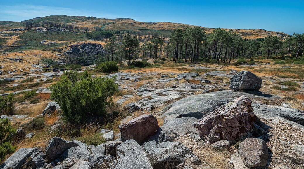 Nature in its purest form. Few people, large spaces and many interesting places to visit.