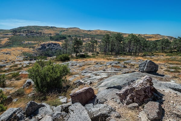 Nature in its purest form. Few people, large spaces and many interesting places to visit.