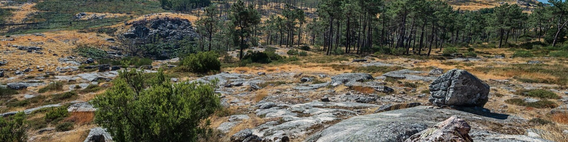 Nature in its purest form. Few people, large spaces and many interesting places to visit.