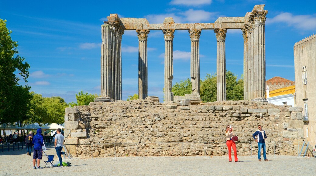 Templo Romano ofreciendo una ruina y elementos del patrimonio