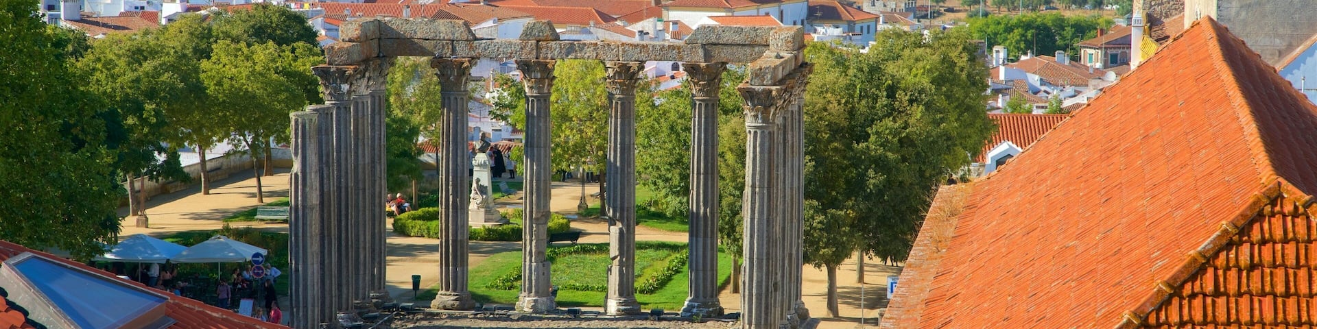 Ancient columns in a park with red-roofed buildings in the background.