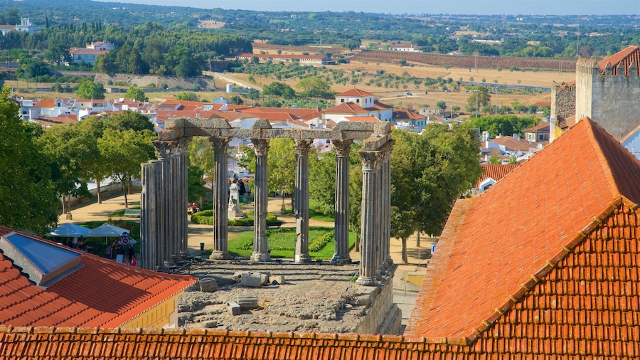Columnes antigues a un parc, amb edificis de teulades vermelles al fons.