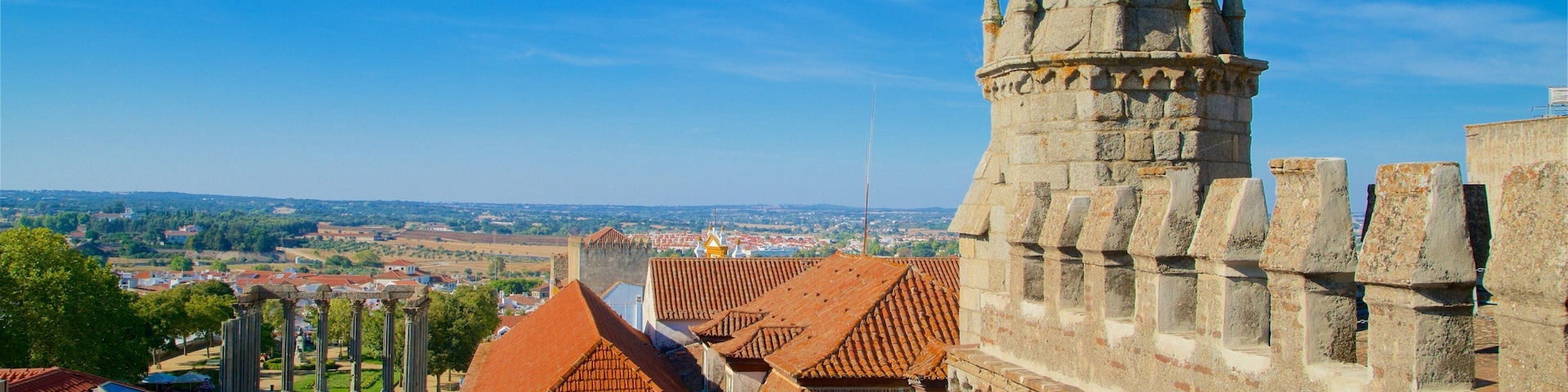 Evora Cathedral which includes heritage elements and a city