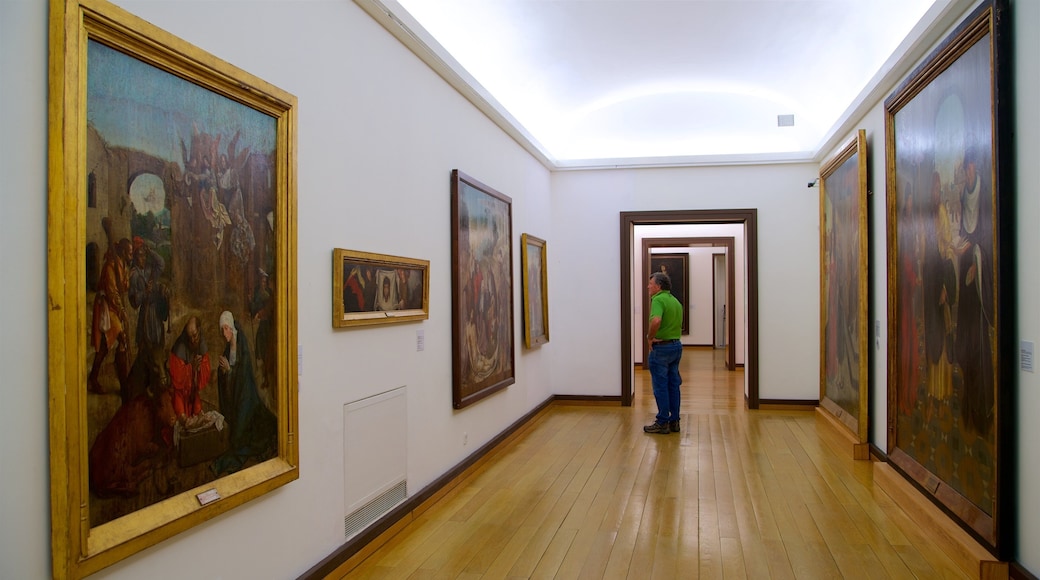埃武拉博物館 呈现出 內部景觀 和 藝術 以及 一名男性