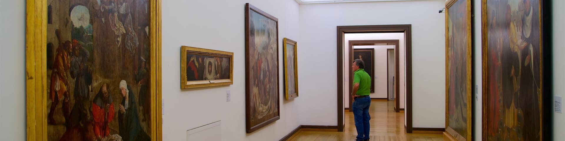 Evora Museum showing interior views and art as well as an individual male