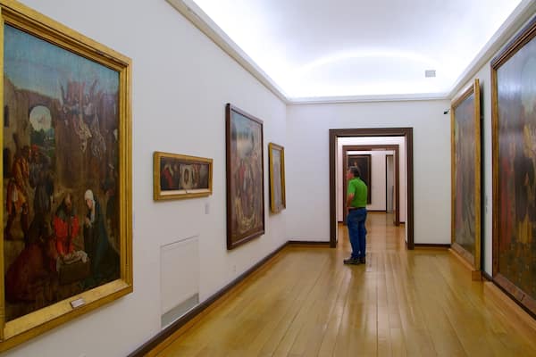 Evora Museum showing interior views and art as well as an individual male