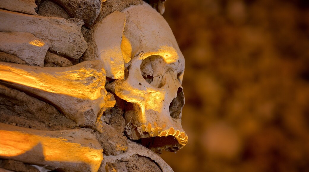 Igreja de SĂŁo Francisco