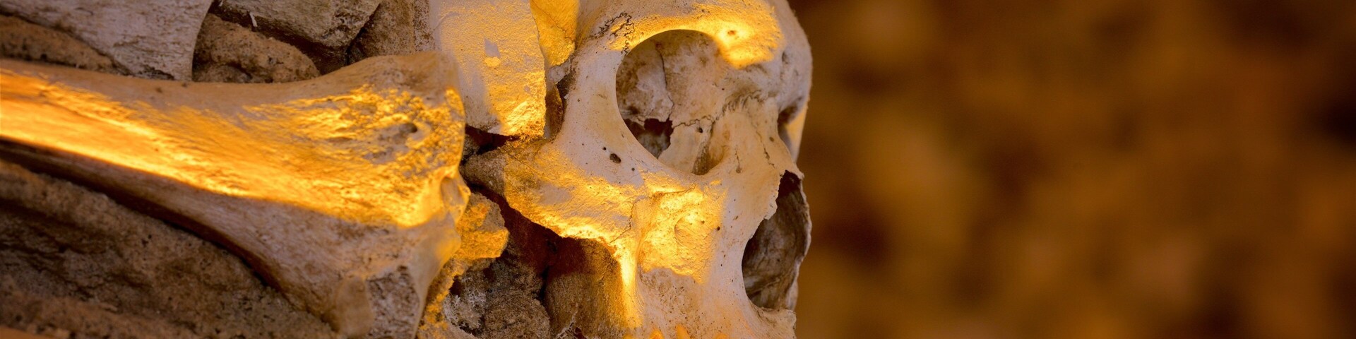 里约热内卢三藩市