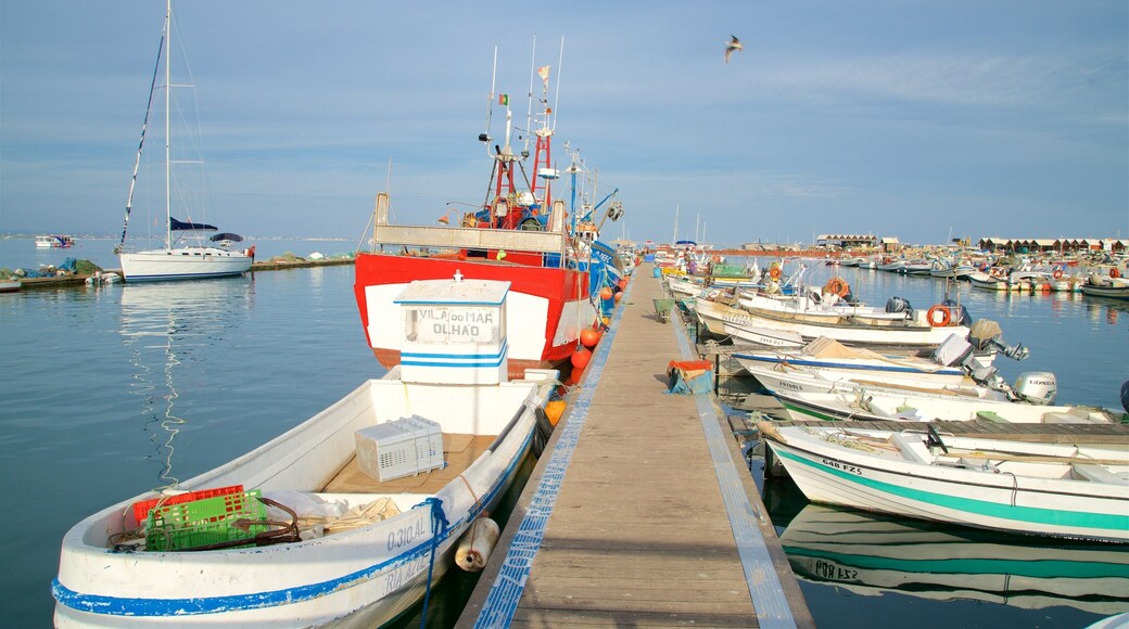 Ilha da Culatra strand som viser bukt eller havn