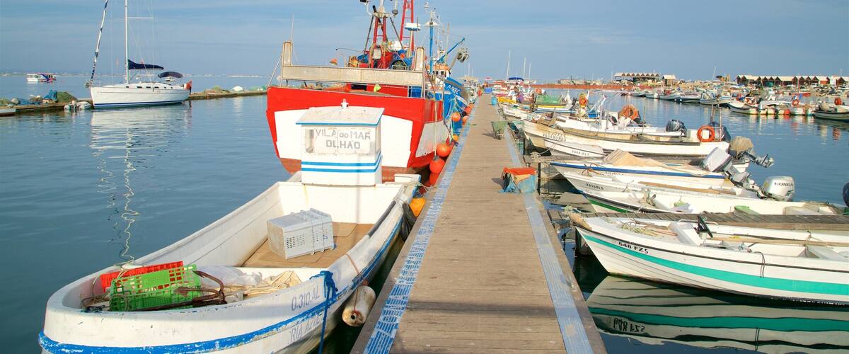 Playa de Ilha da Culatra mostrando una bahía o un puerto