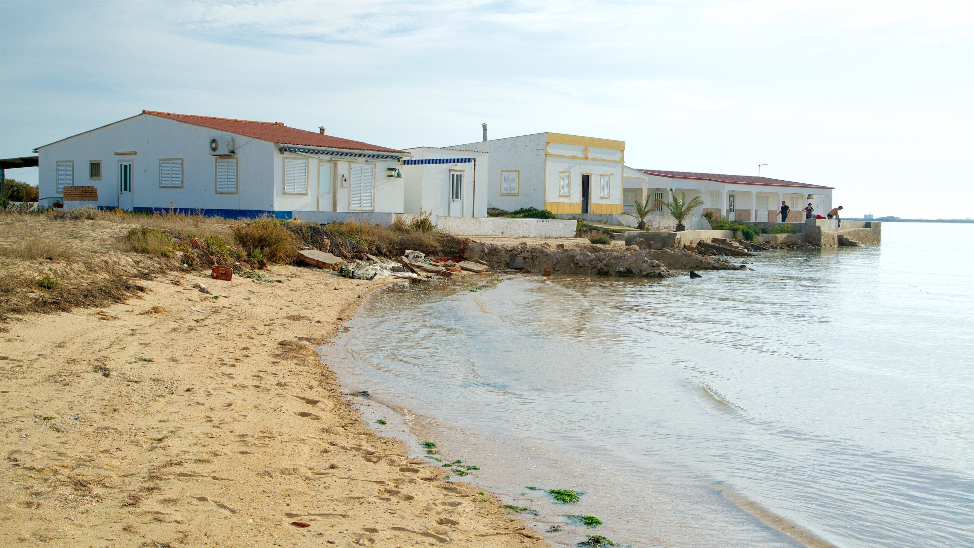 Ilha da Culatra Beach showing general coastal views and a sandy beach