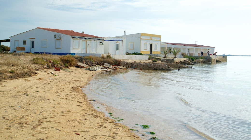 Ilha da Culatra Beach qui includes plage et vues littorales