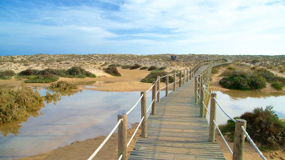 A wooden boardwalk leading through a coastal landscape with sandy dunes and a calm body of water.
