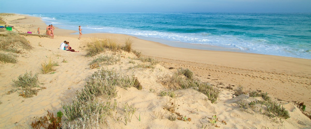 Playa de Ilha da Culatra que incluye una playa de arena y vistas generales de la costa y también un pequeño grupo de personas