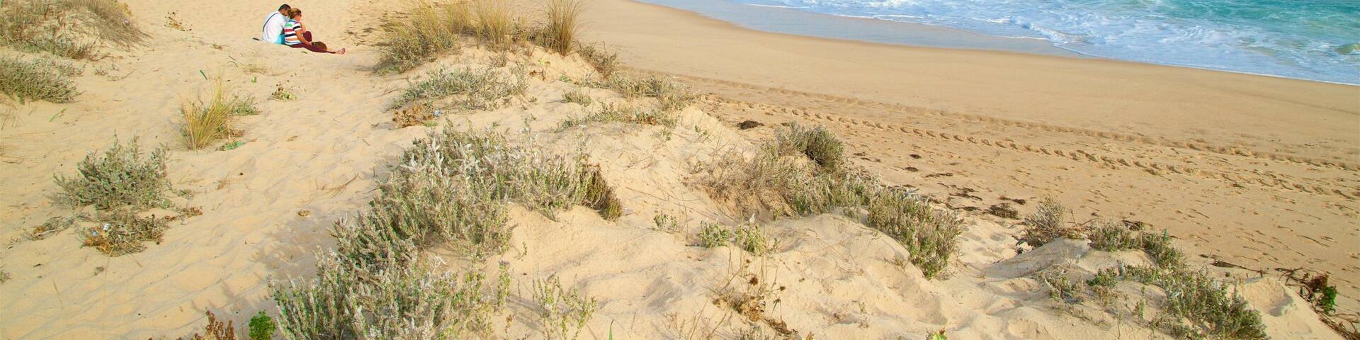 Ilha da Culatra Beach which includes general coastal views and a beach as well as a small group of people