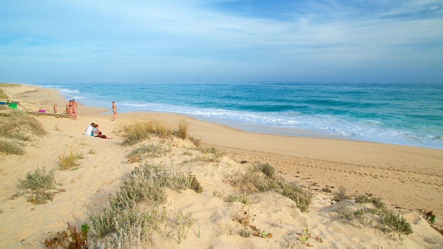 Ilha da Culatra Beach featuring a sandy beach and general coastal views as well as a small group of people