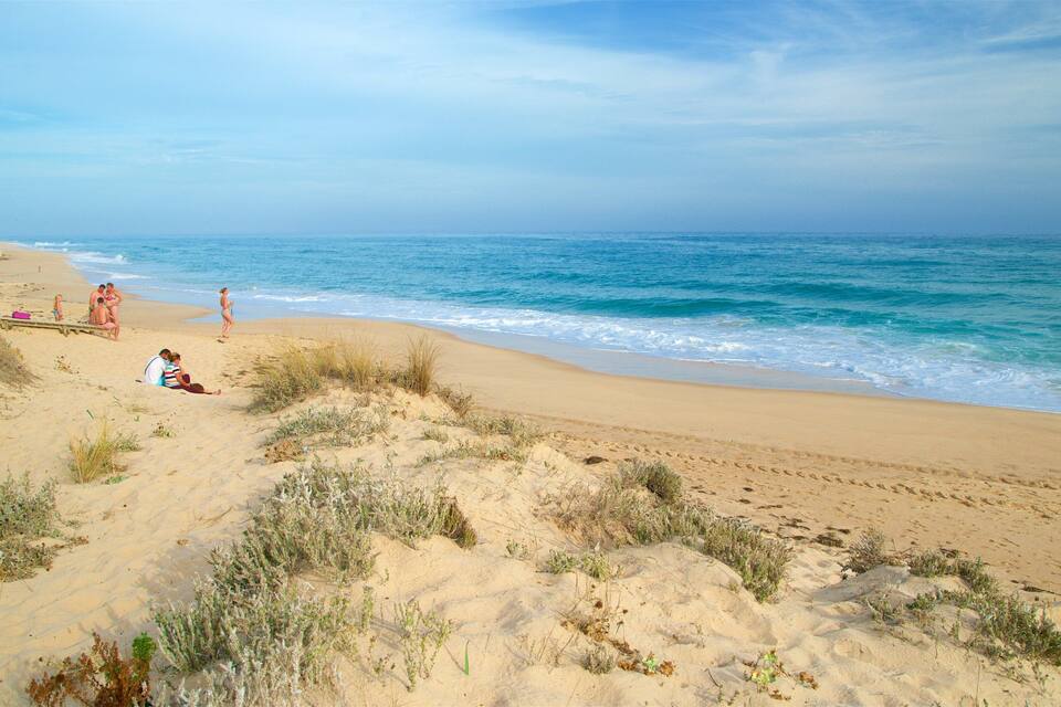 A sandy beach with people relaxing and walking along the shore.