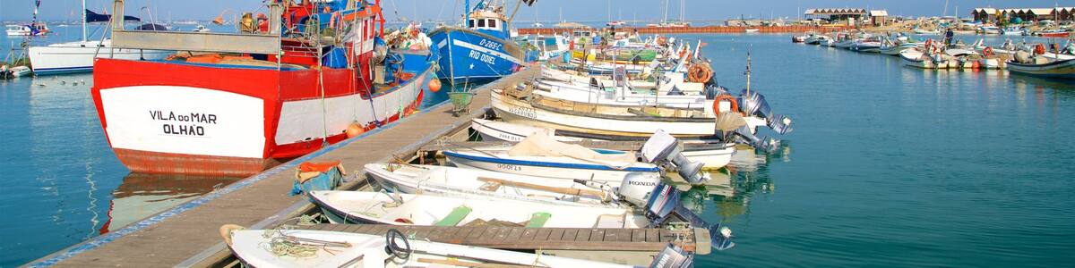 Ilha da Culatra Beach which includes a bay or harbor