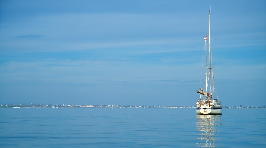 Ria Formosa Natural Park which includes general coastal views