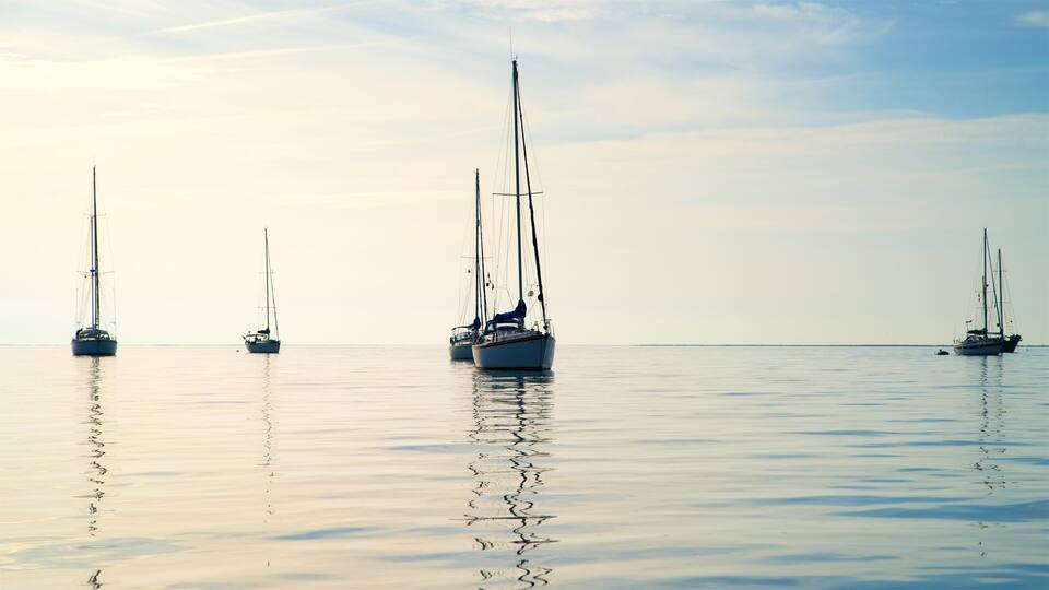 A calm sea with several sailboats anchored.