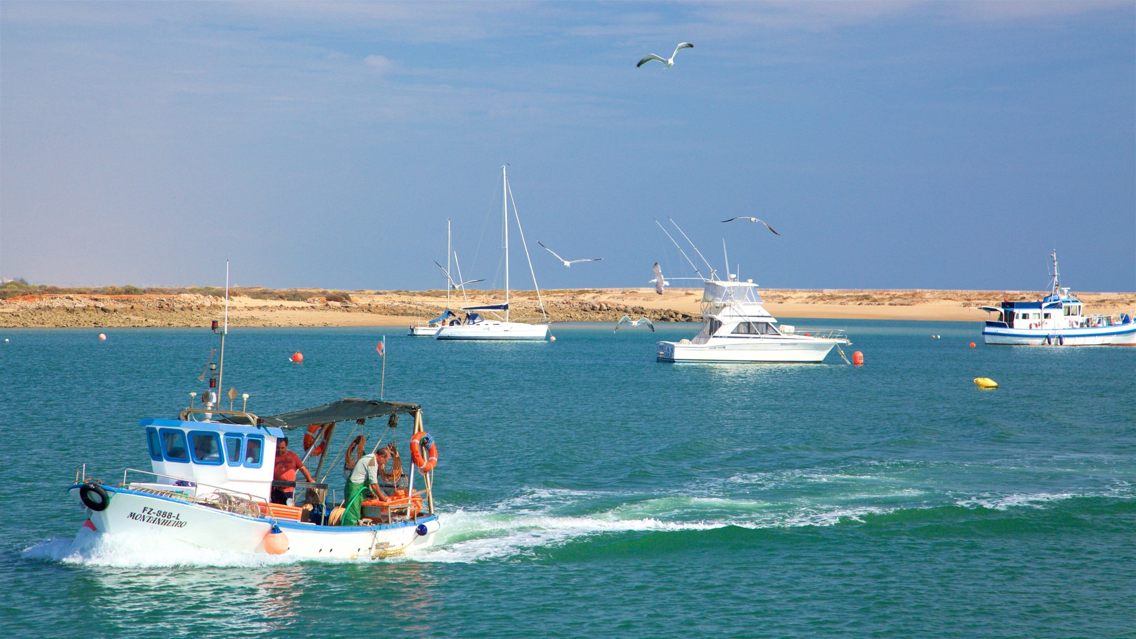Ria Formosa naturområde presenterar båtkörning och kustutsikter