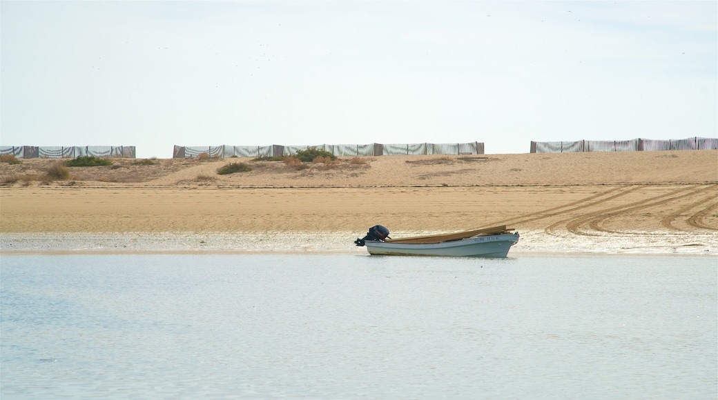Ria Formosa naturområde som visar kustutsikter och en sandstrand