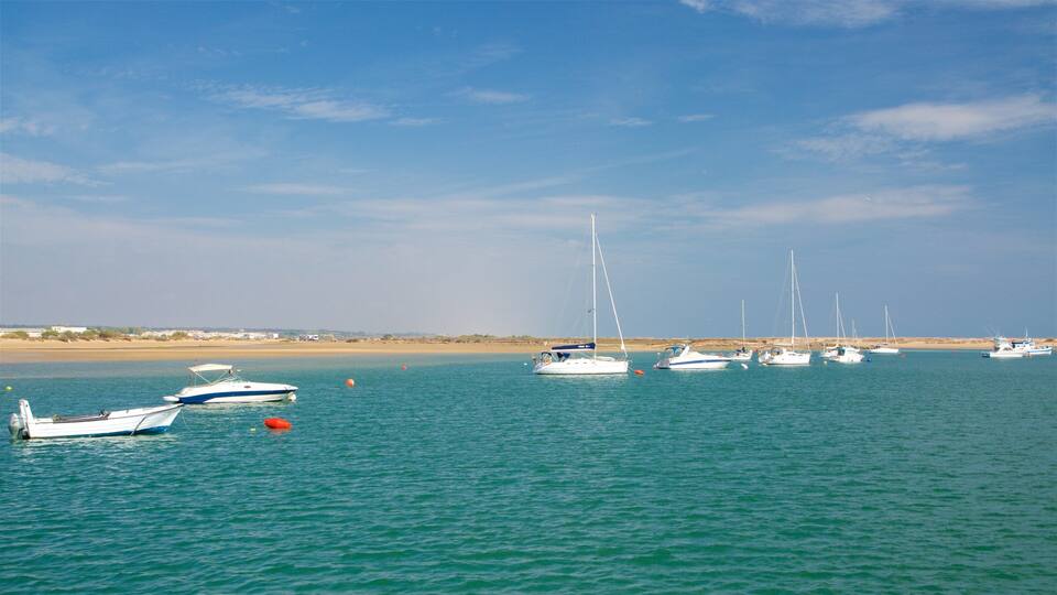 A calm sea with several sailboats anchored near the shore.