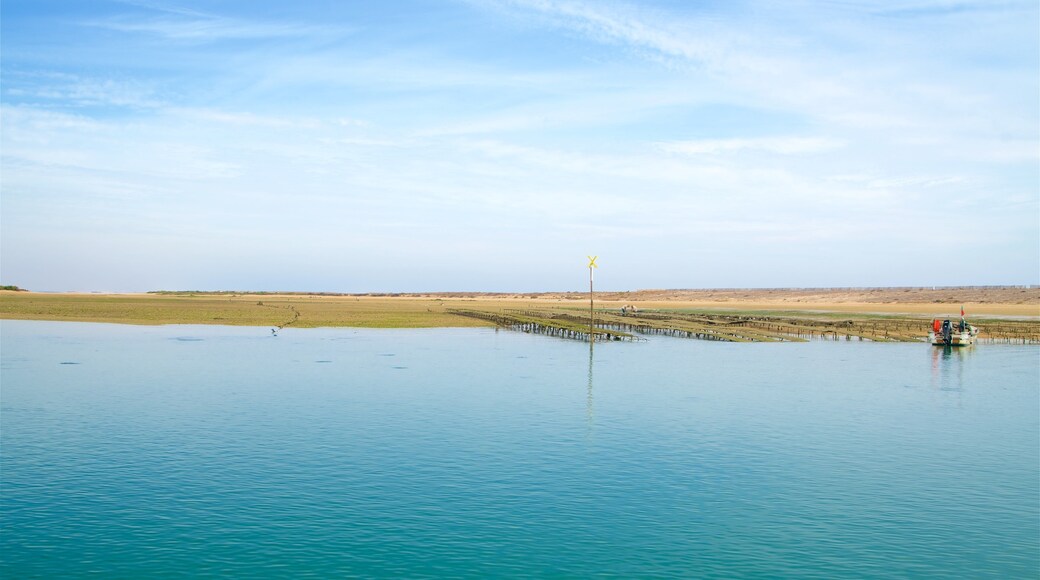 Ria Formosa naturområde som visar stillsam natur och en sjö eller ett vattenhål
