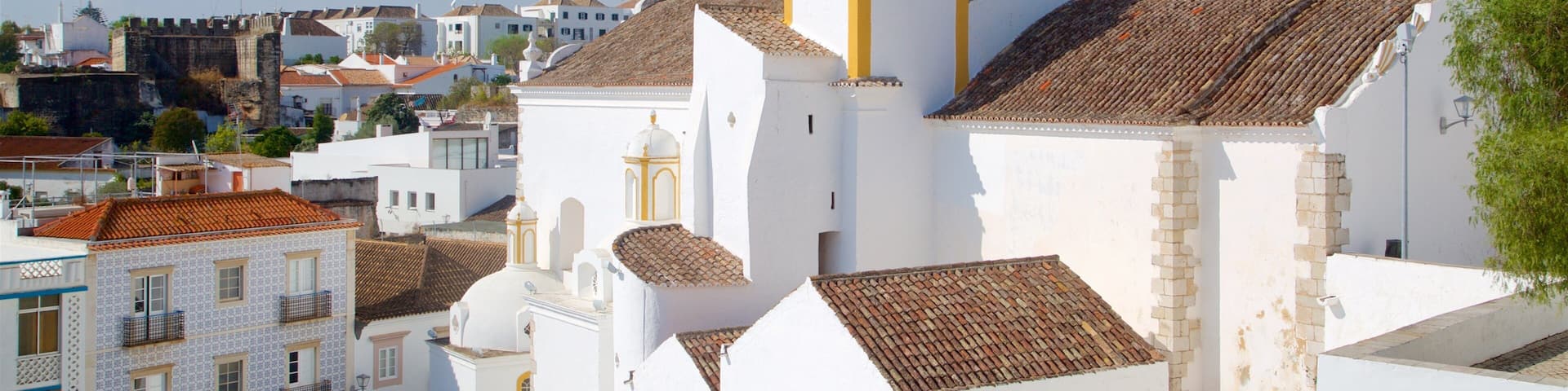 Tavira Castle which includes a city