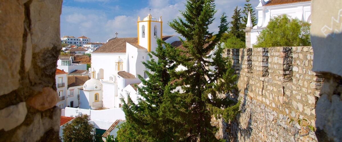 A church with a bell tower, a stone wall, and a tree in the foreground.
