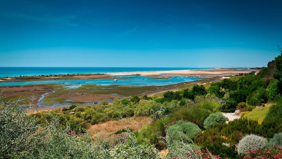 A coastal landscape with a beach, tidal pools, and dense greenery.