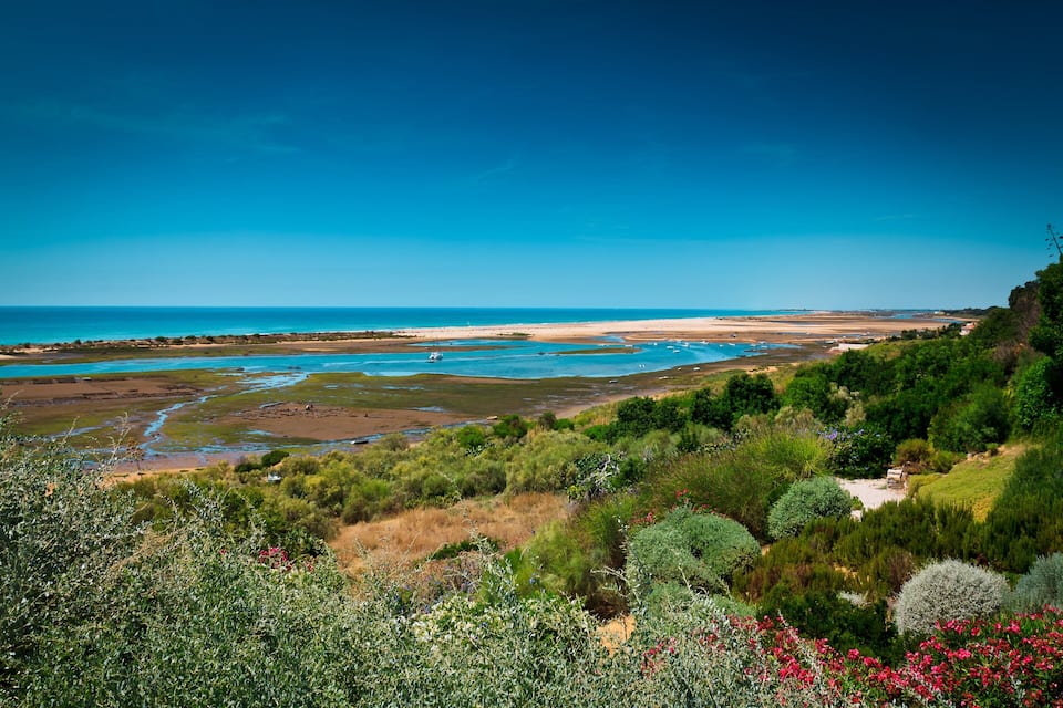 A coastal landscape with a beach, tidal pools, and dense greenery.