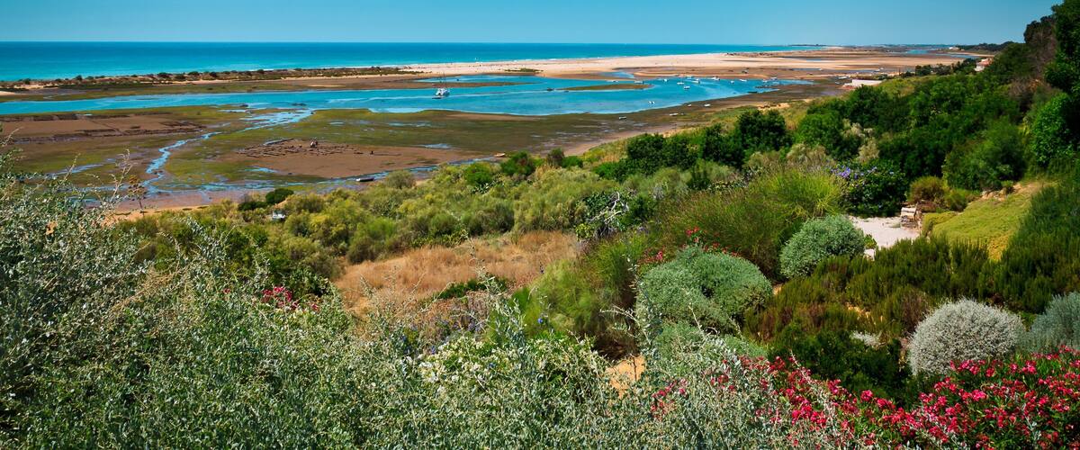 A coastal landscape with a beach, tidal pools, and dense greenery.