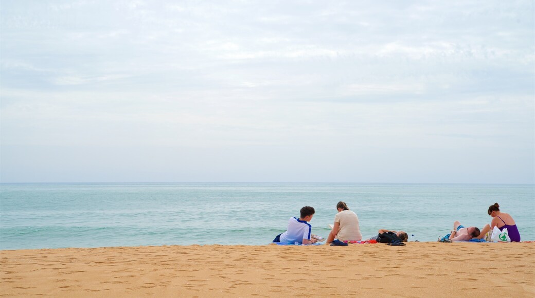 Marina Beach which includes a beach and general coastal views as well as a small group of people