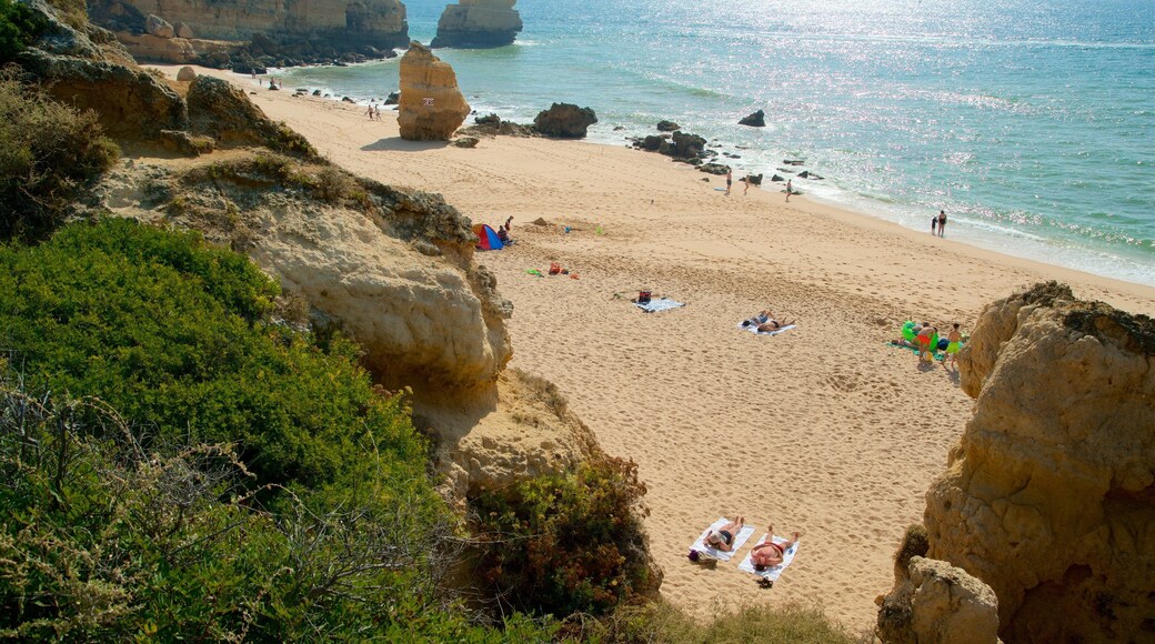 Coelha Beach montrant vues littorales, plage de sable et côte escarpée