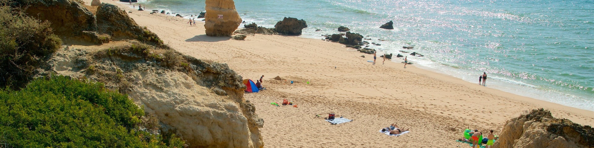 Coelha Beach featuring a beach, rugged coastline and general coastal views
