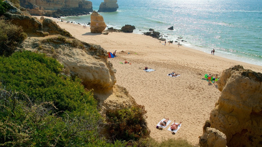 Coelha Beach featuring a beach, rugged coastline and general coastal views