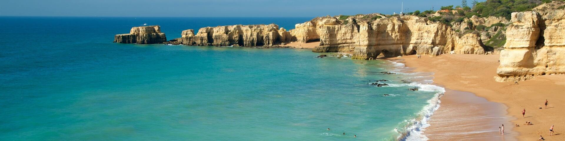 Coelha Beach showing general coastal views, rocky coastline and a sandy beach
