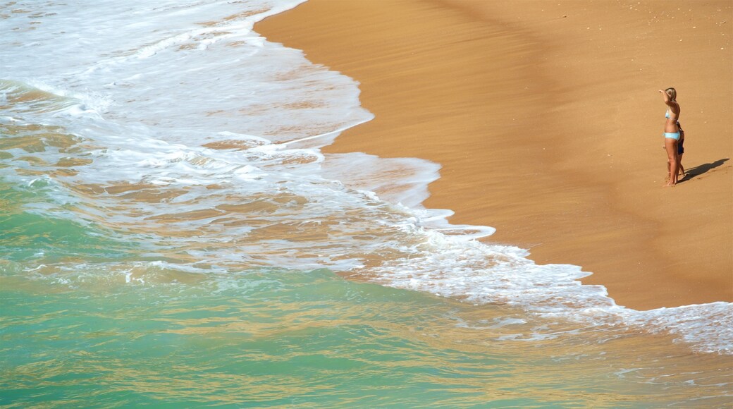 Playa de Coelha mostrando vistas de una costa y una playa y también una familia